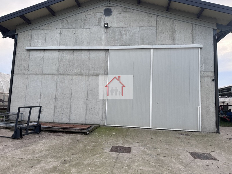 immagine annuncio 2 di 8