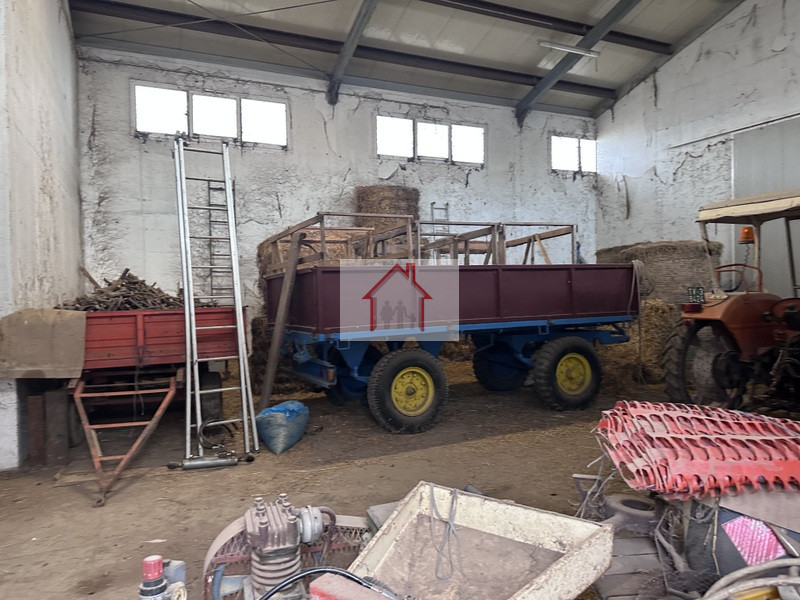 immagine annuncio 1 di 8