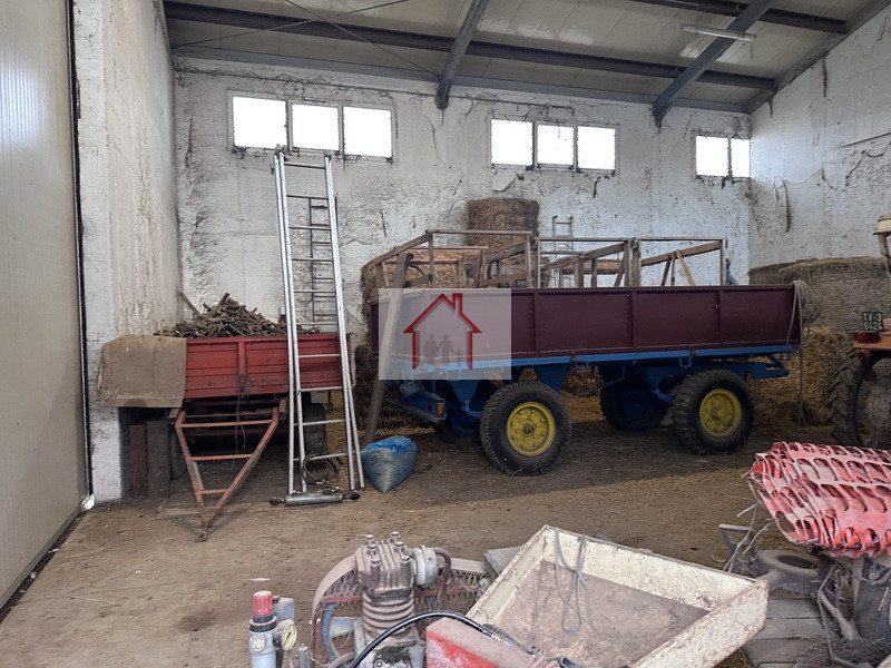 immagine annuncio 3 di 8