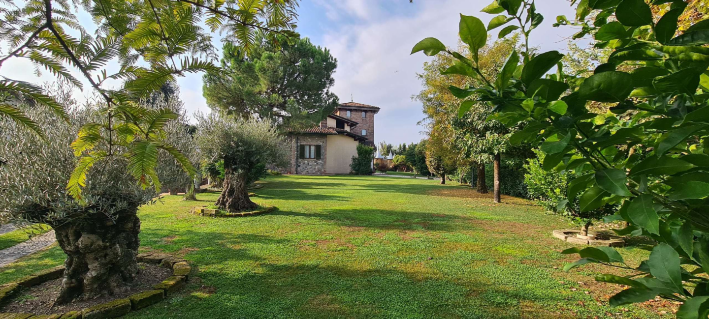 immagine annuncio 1 di 10