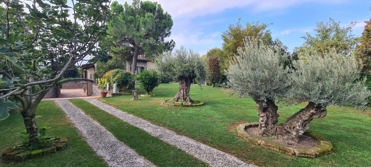 immagine annuncio 6 di 10