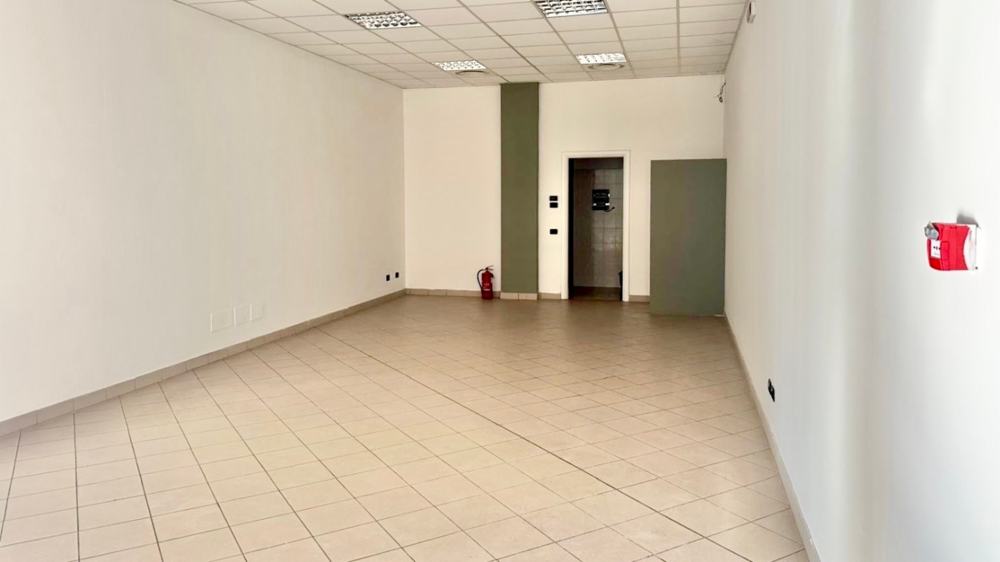 immagine annuncio 2 di 6