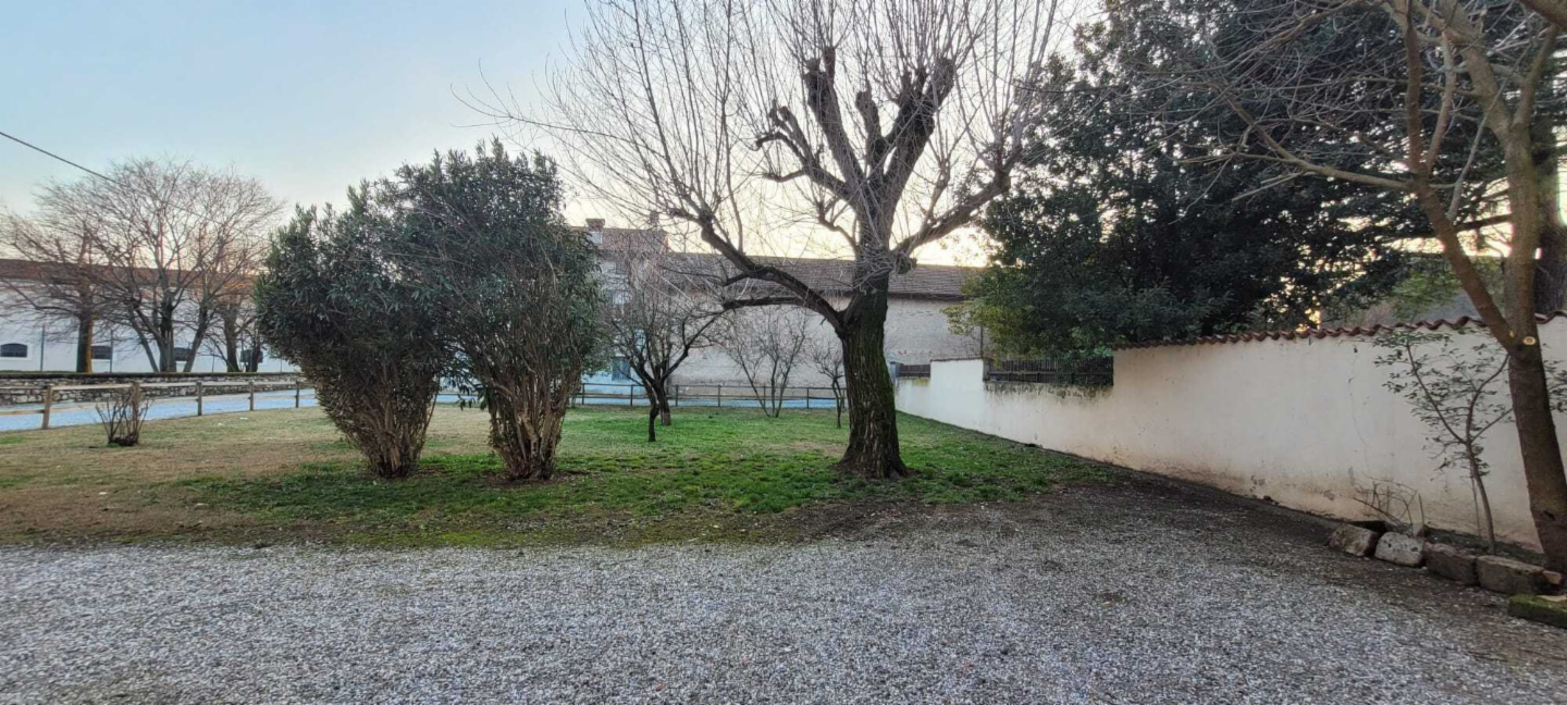 immagine annuncio 7 di 8