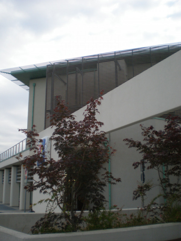 immagine annuncio 3 di 7