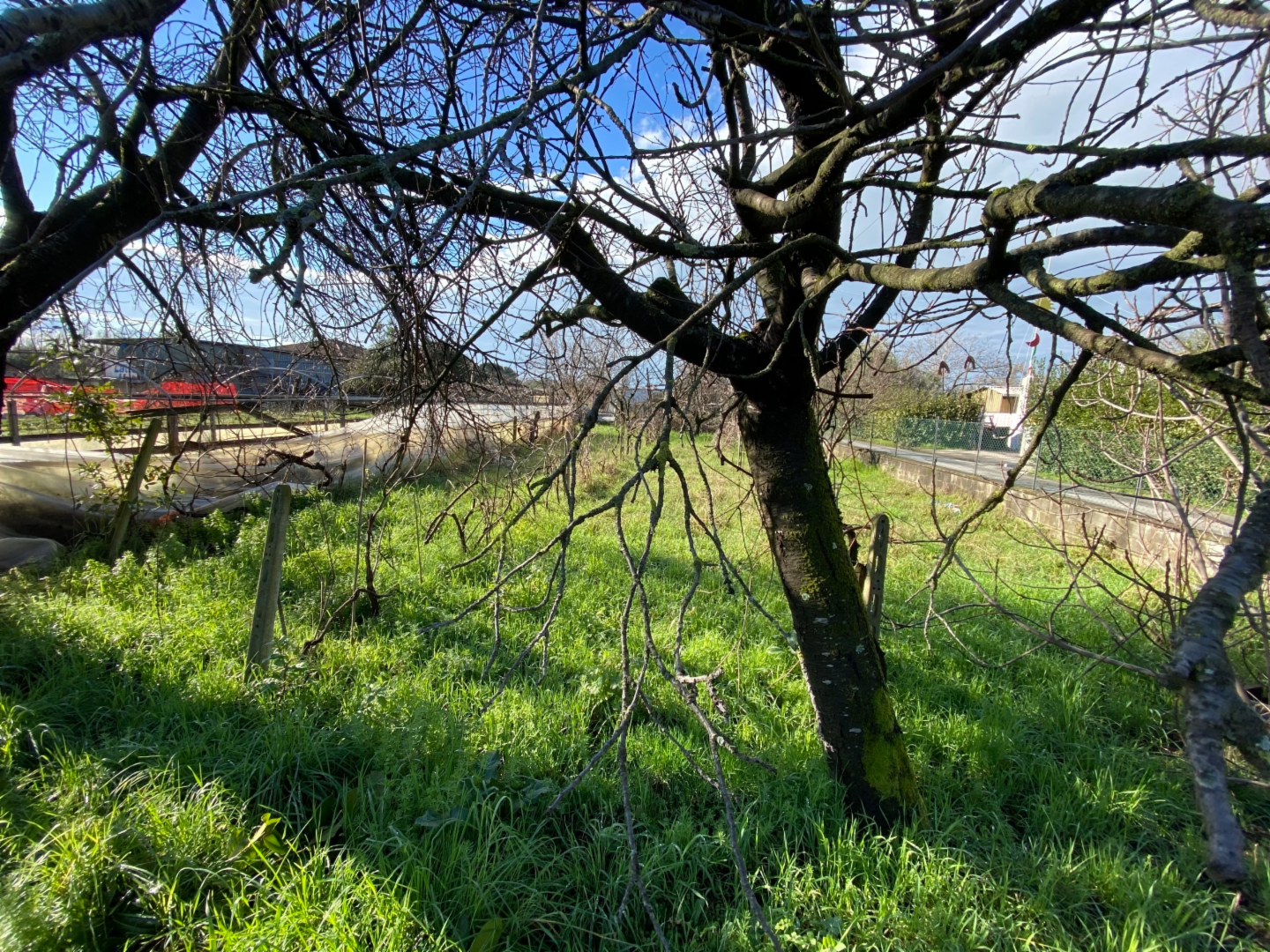 terreno edificabile in vendita a Pietrasanta