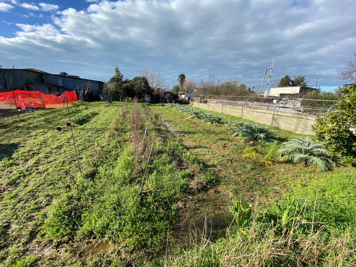 immagine annuncio 1 di 4