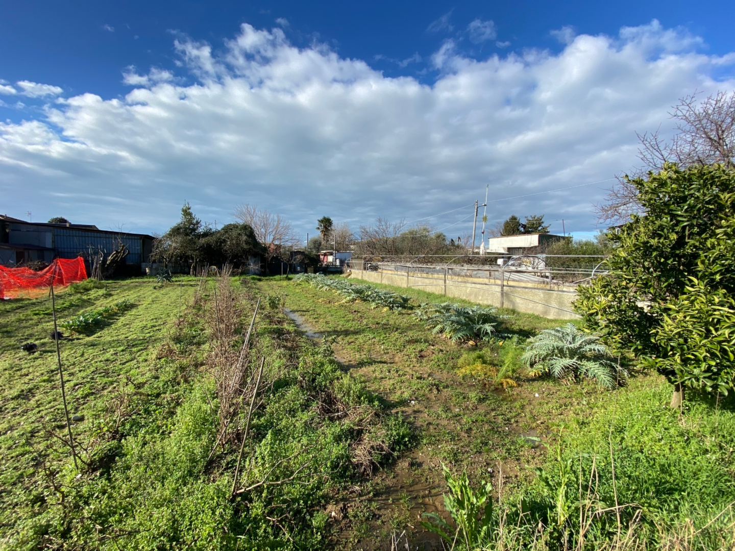 immagine annuncio 2 di 4