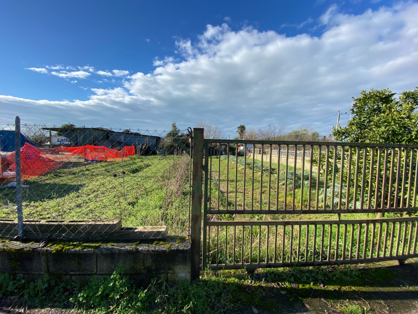 immagine annuncio 3 di 4