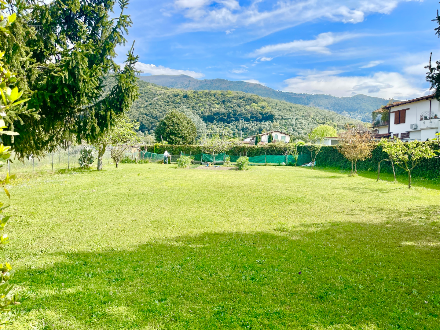 immagine annuncio 1 di 2