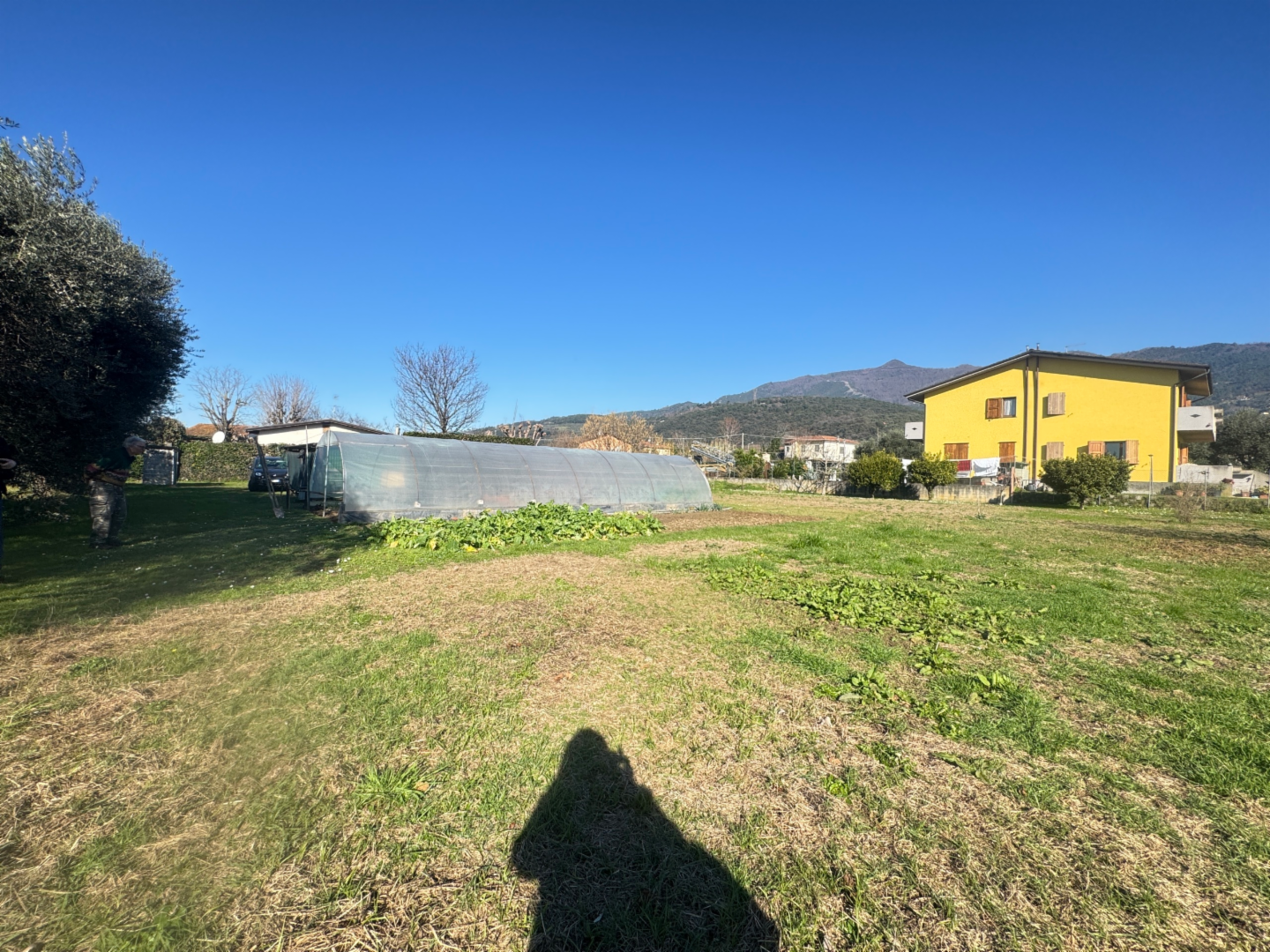 immagine annuncio 1 di 10