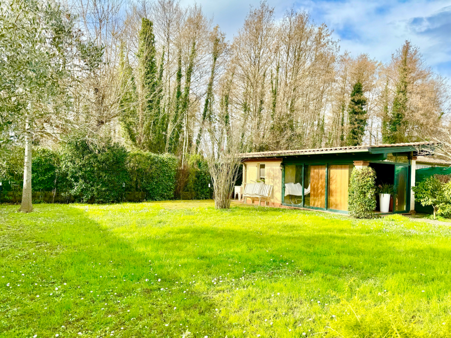 immagine annuncio 4 di 10