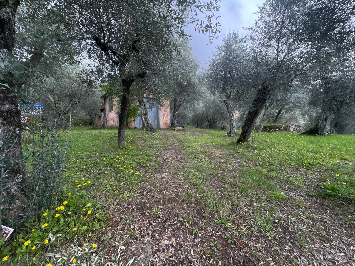 immagine annuncio 2 di 4