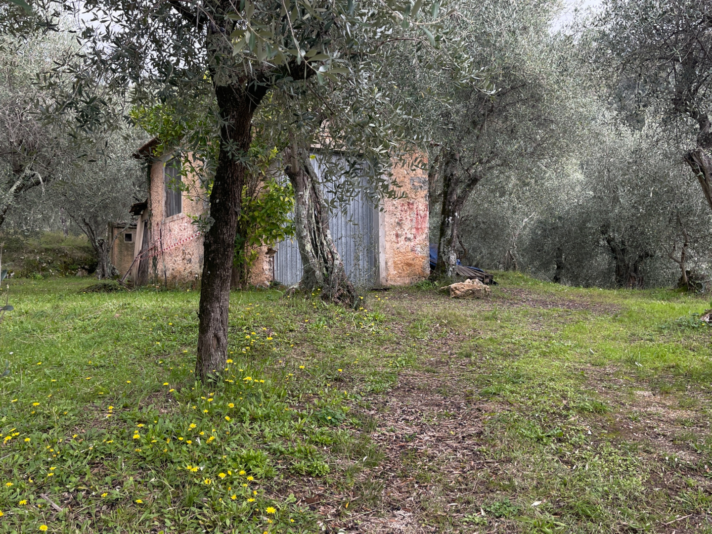 immagine annuncio 1 di 4