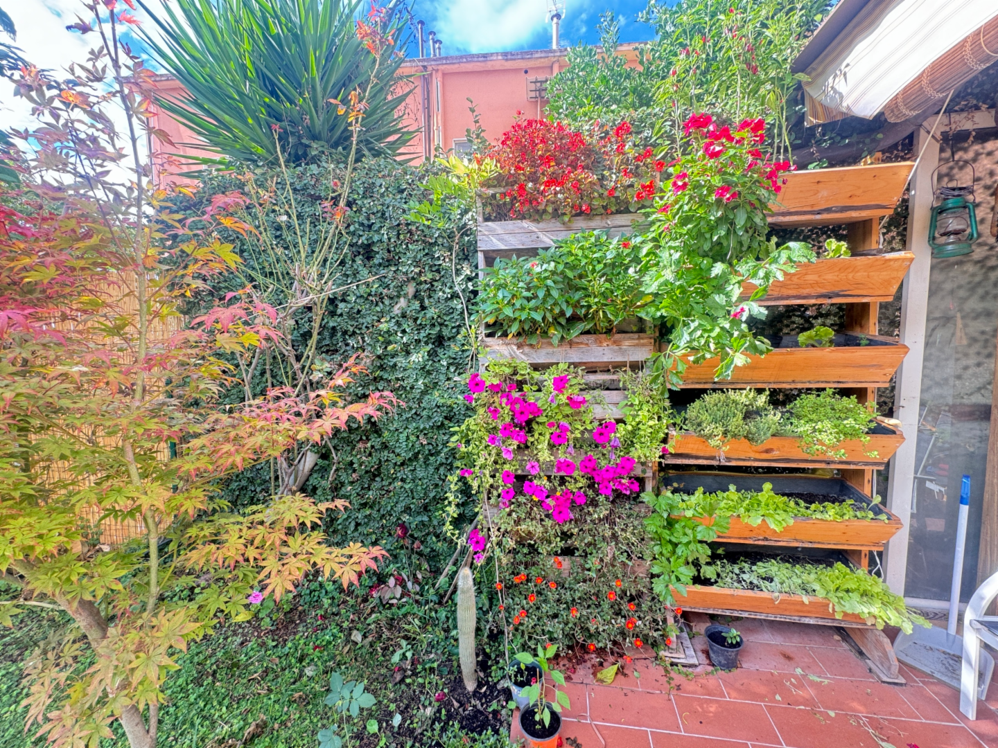 immagine annuncio 5 di 10