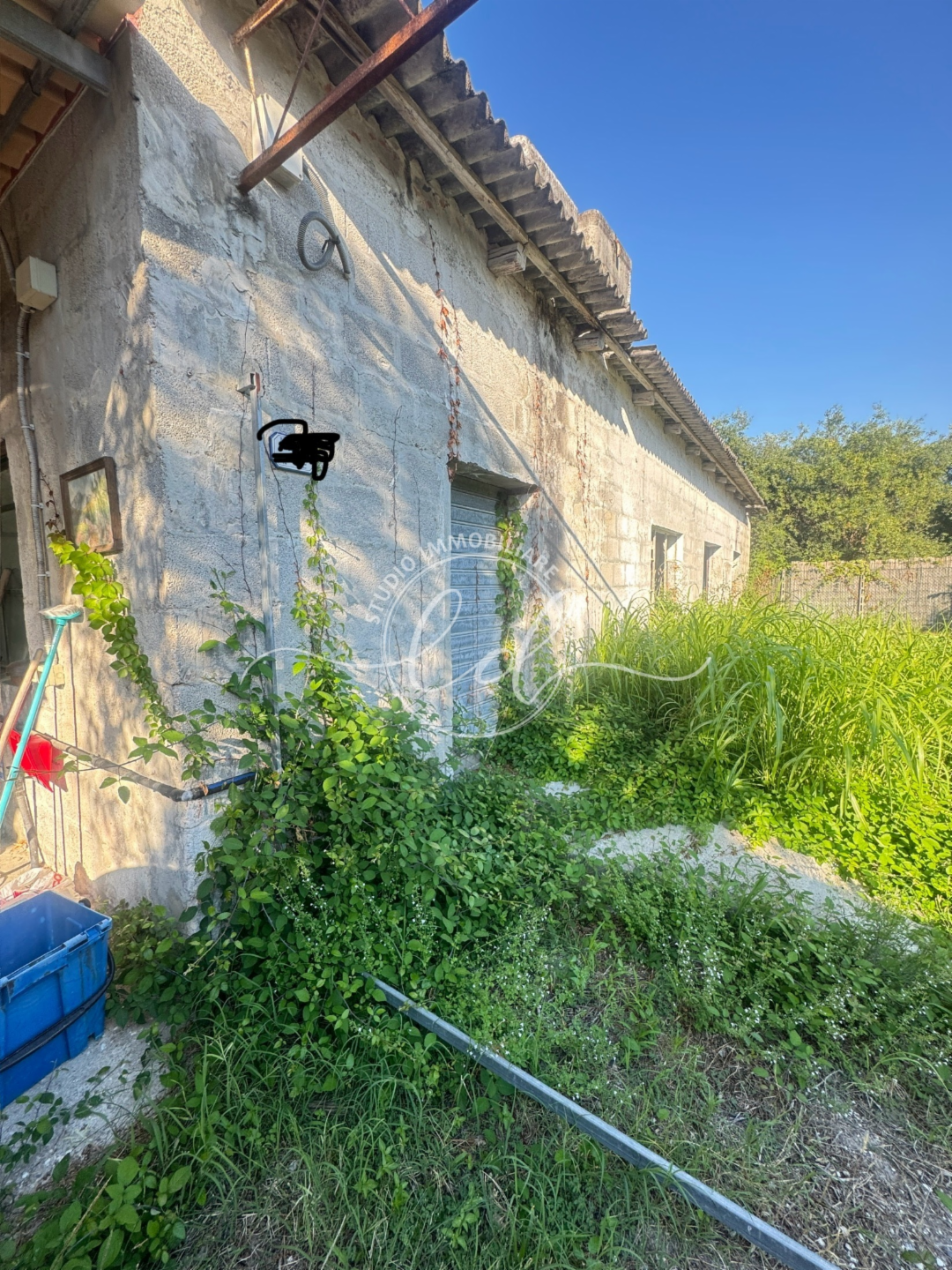 immagine annuncio 5 di 9