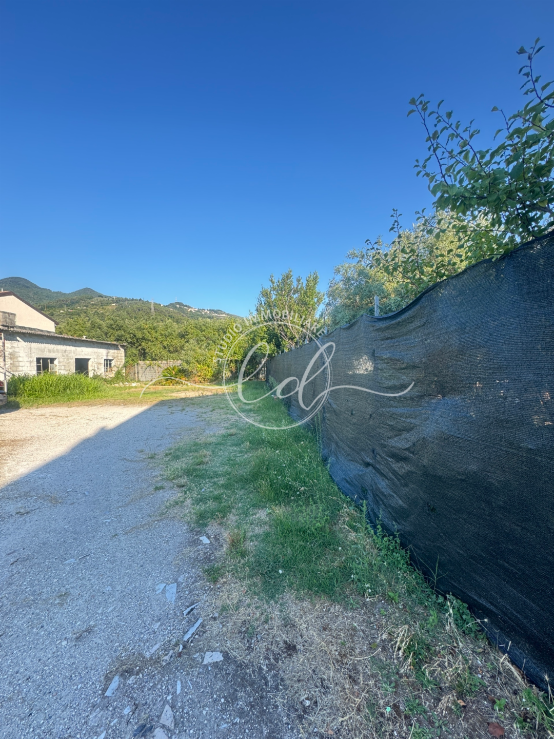 immagine annuncio 8 di 9