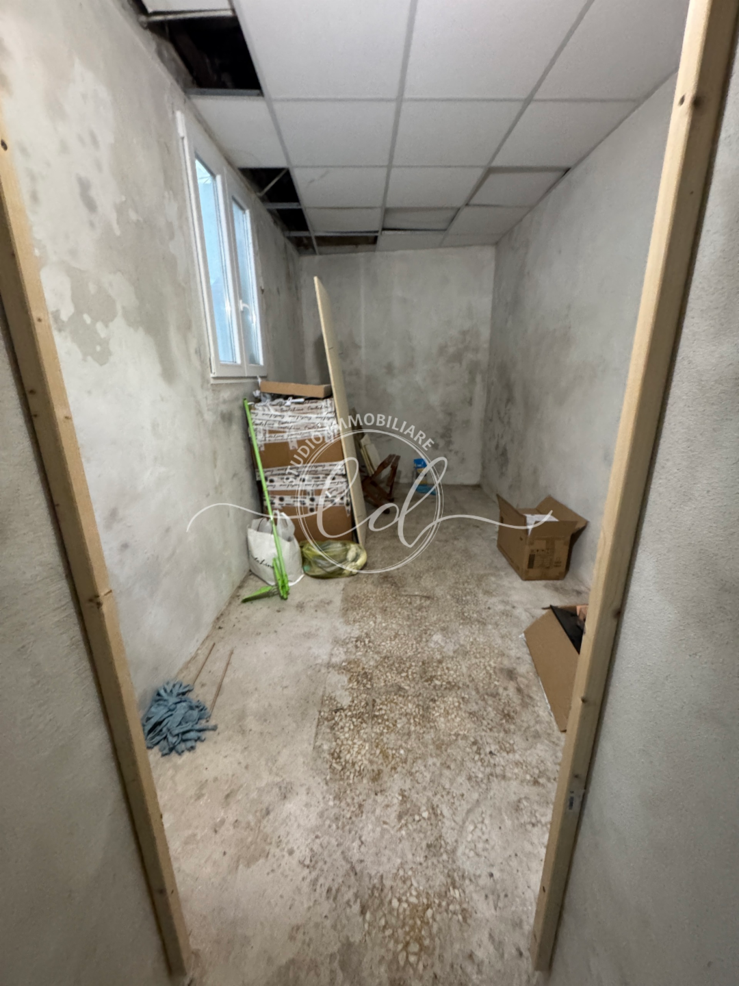 immagine annuncio 7 di 8