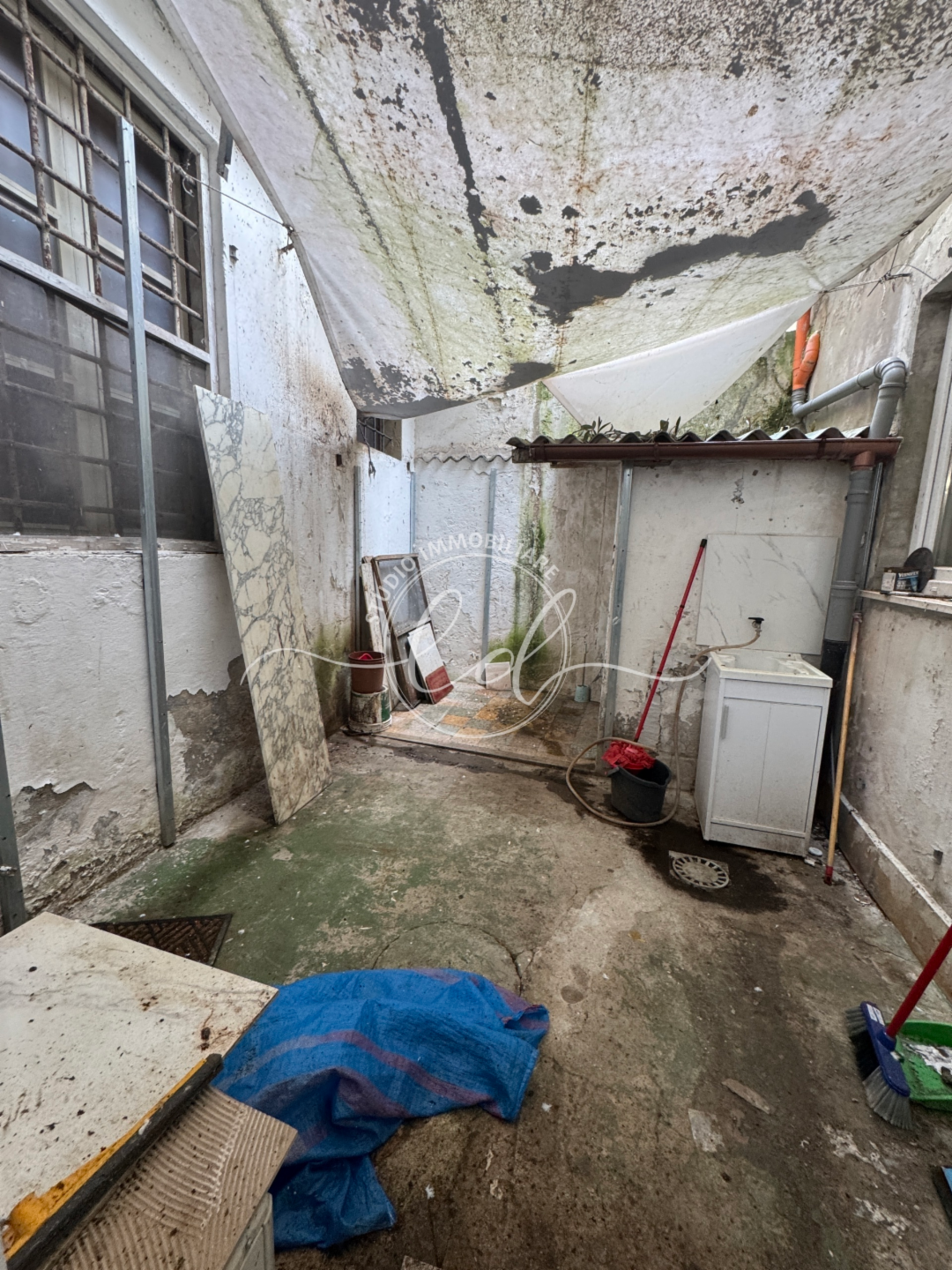 immagine annuncio 6 di 8