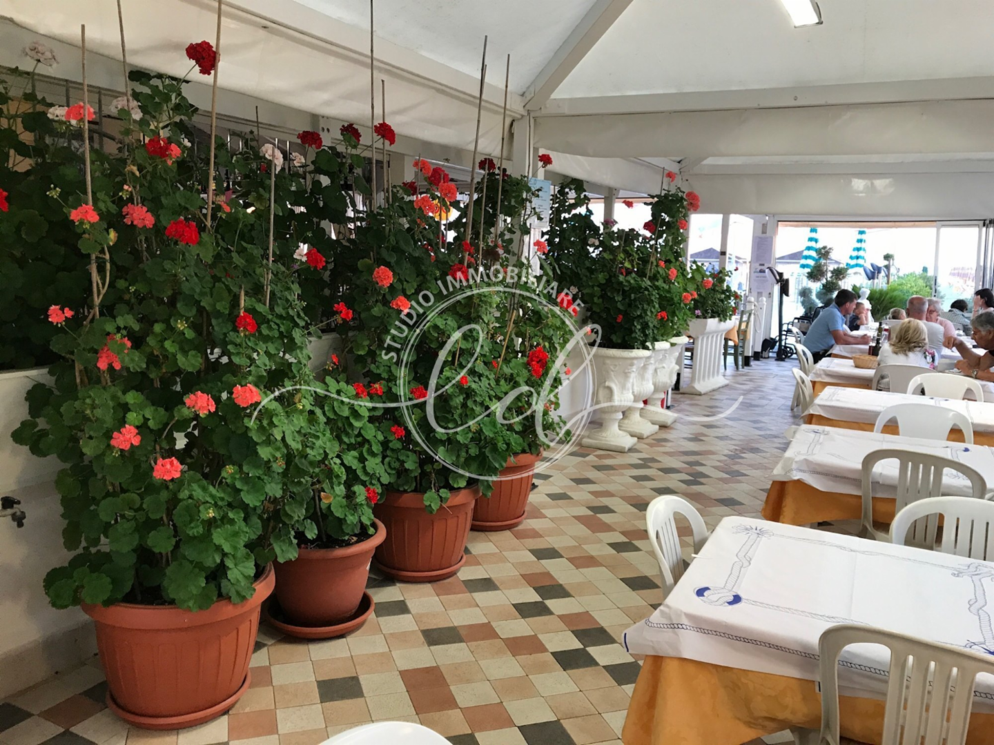 immagine annuncio 2 di 3