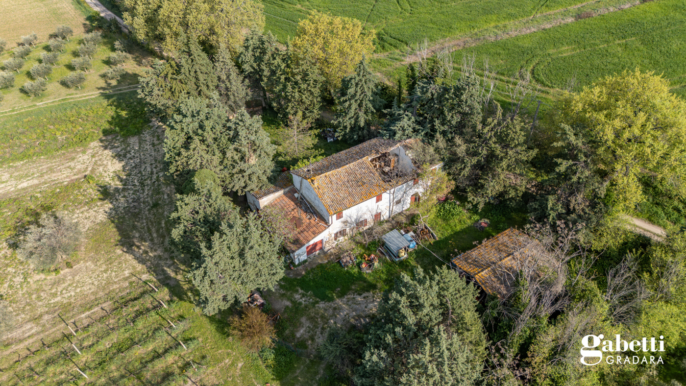 immagine annuncio 2 di 6