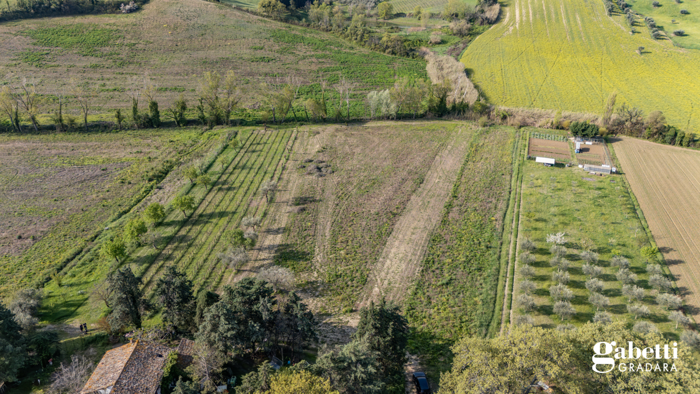 immagine annuncio 4 di 6