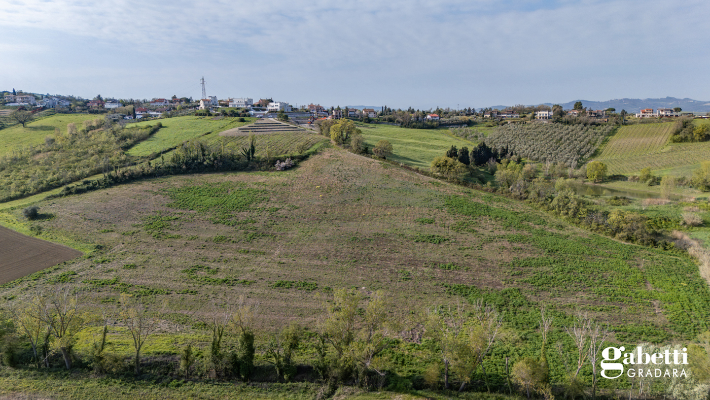 immagine annuncio 5 di 6