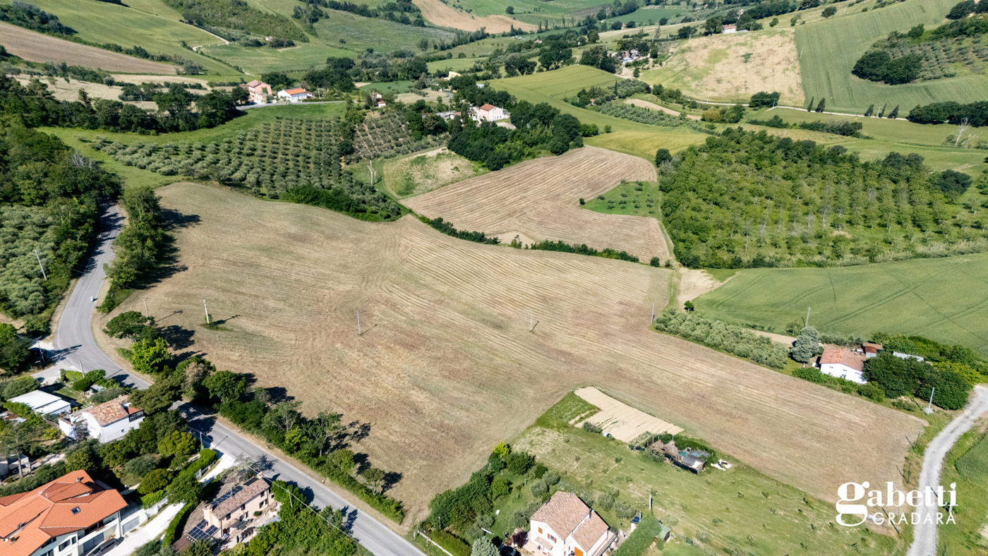 immagine annuncio 4 di 6