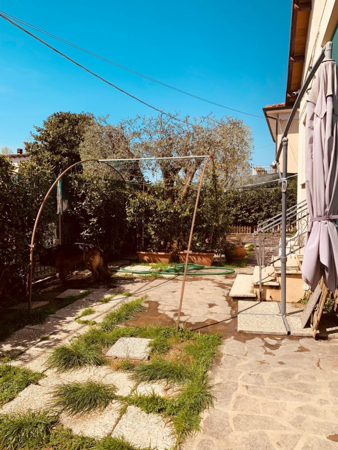 immagine annuncio 7 di 10