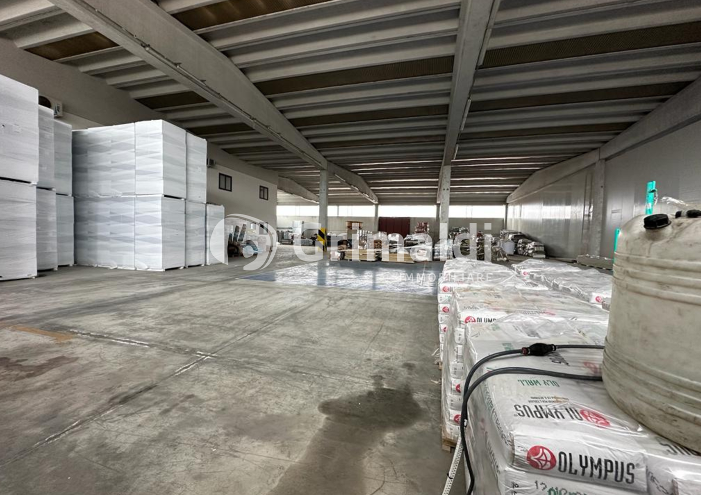 immagine annuncio 5 di 7