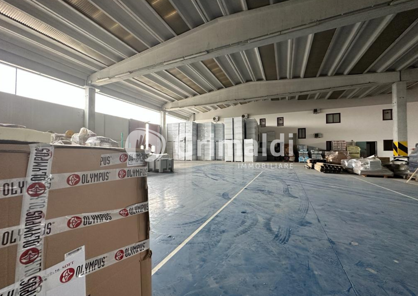 immagine annuncio 6 di 7