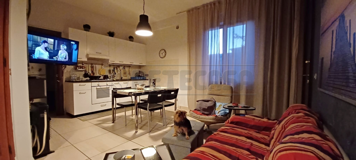 immagine annuncio 2 di 10