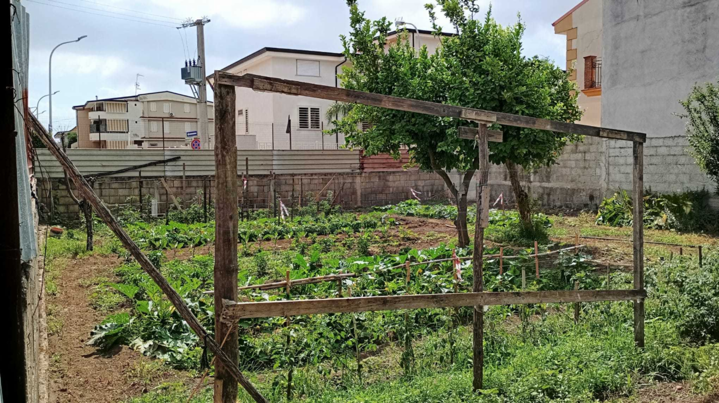 immagine annuncio 5 di 6