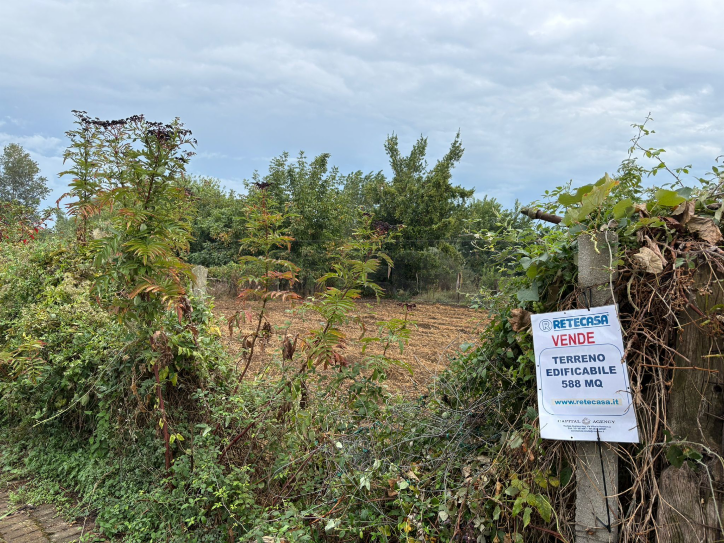 immagine annuncio 1 di 6