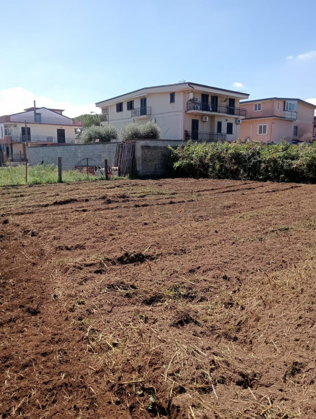 immagine annuncio 3 di 6