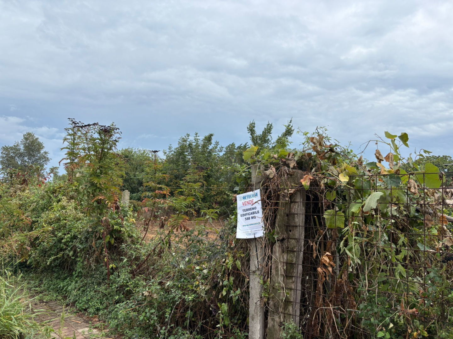 immagine annuncio 4 di 6