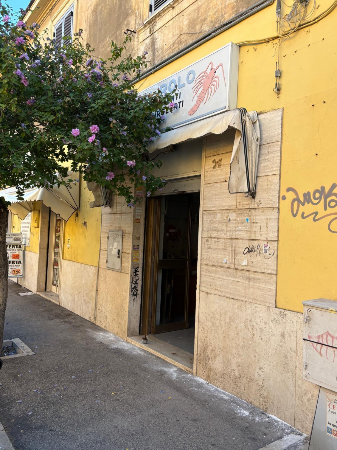 immagine annuncio 6 di 10