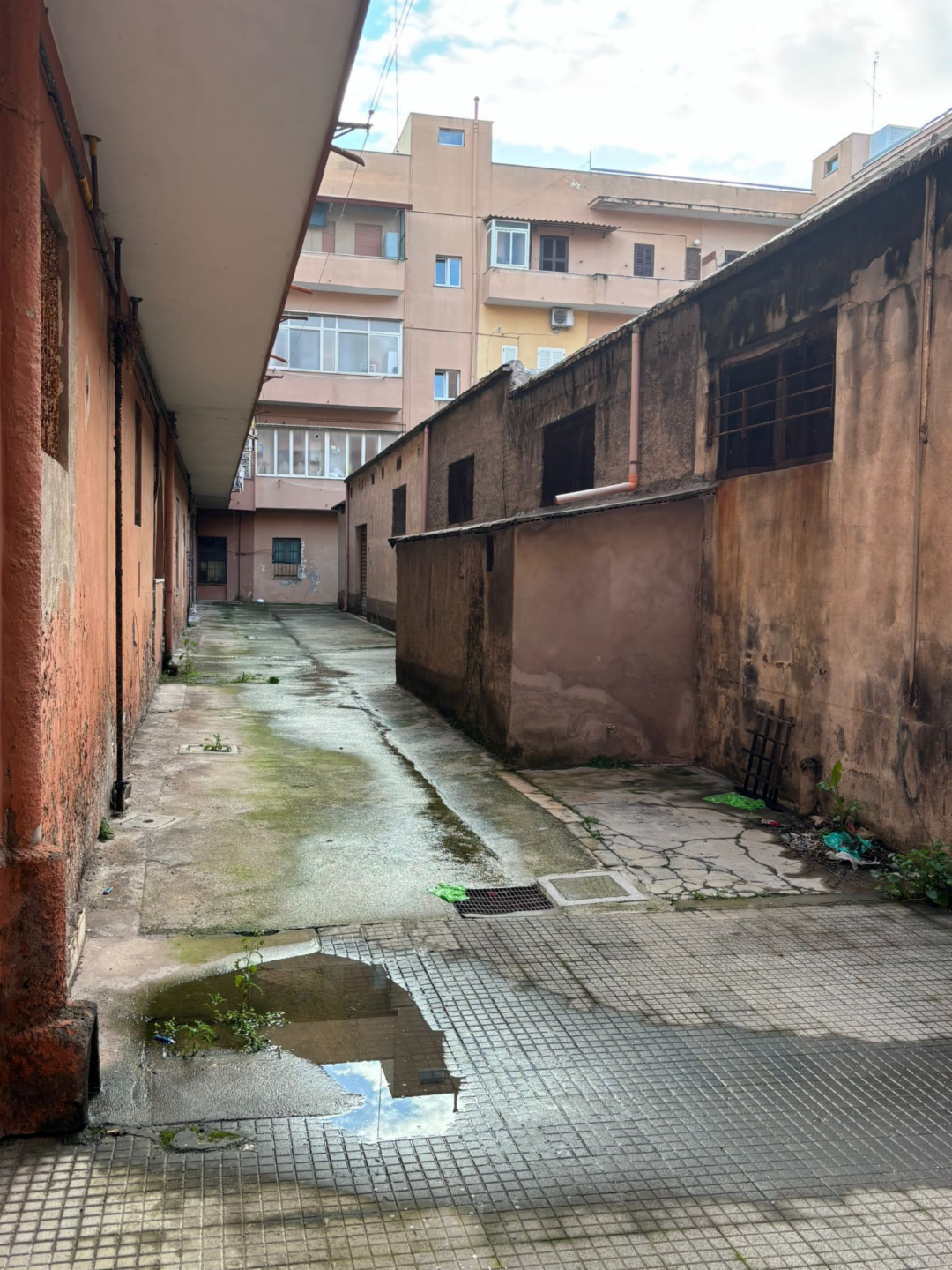 immagine annuncio 6 di 9