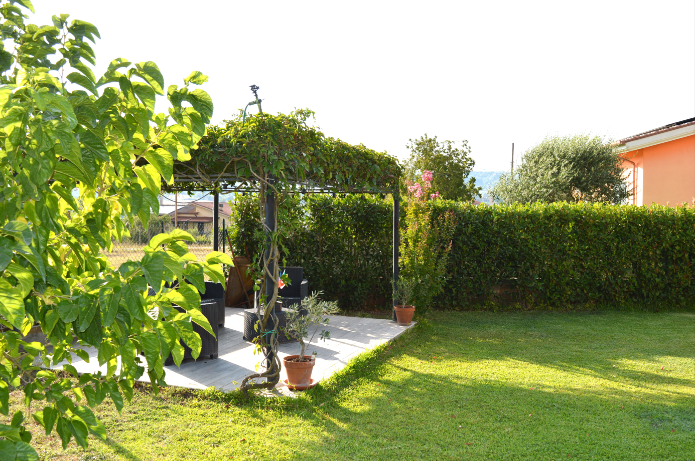 immagine annuncio 3 di 10