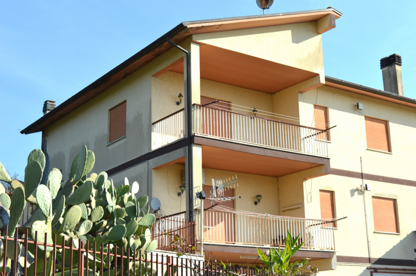 immagine annuncio 2 di 10