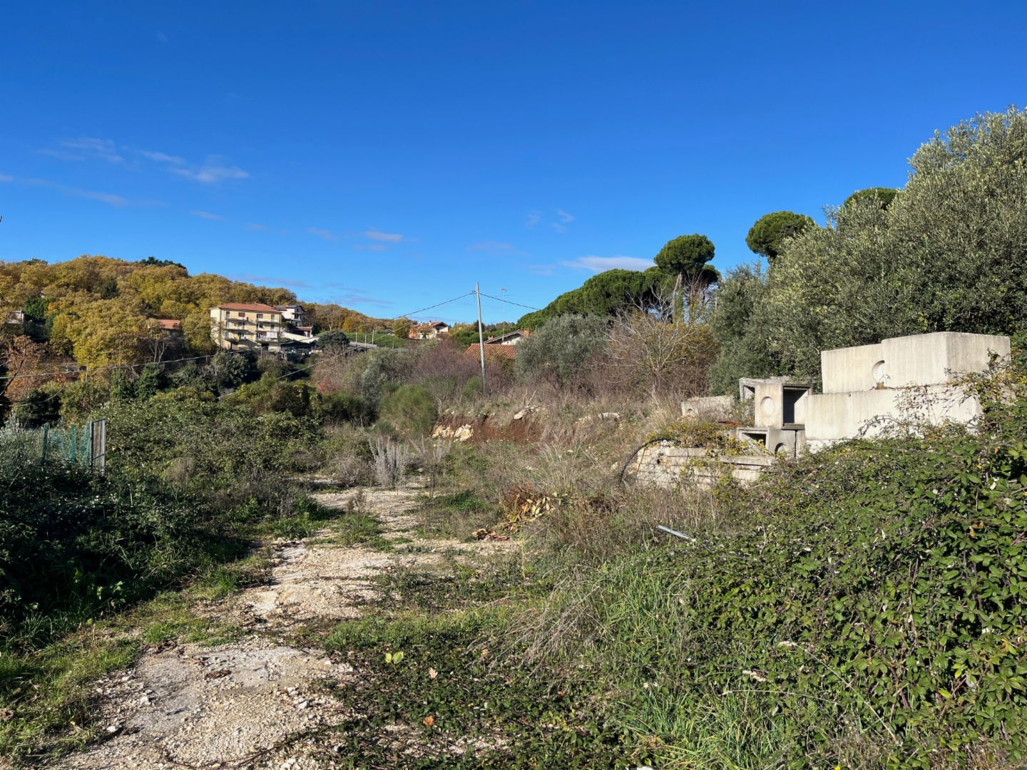 immagine annuncio 7 di 10