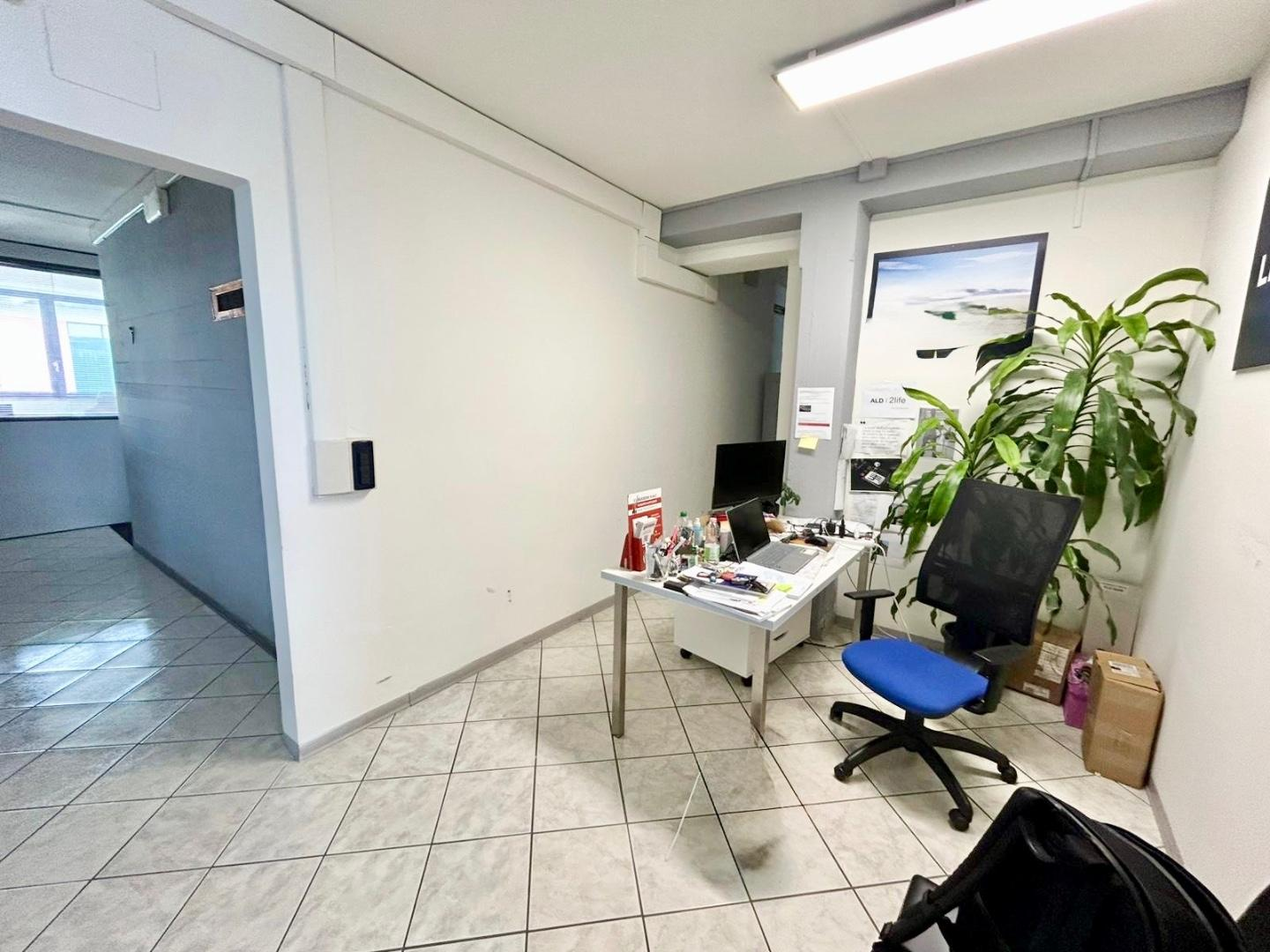 immagine annuncio 1 di 6