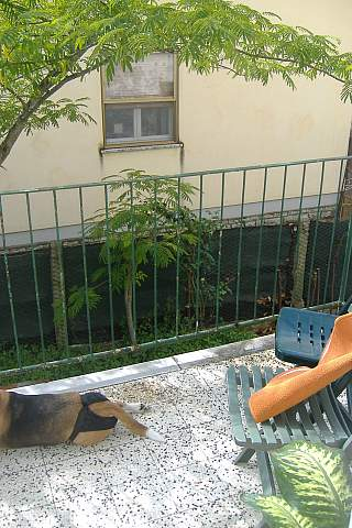 immagine annuncio 6 di 7