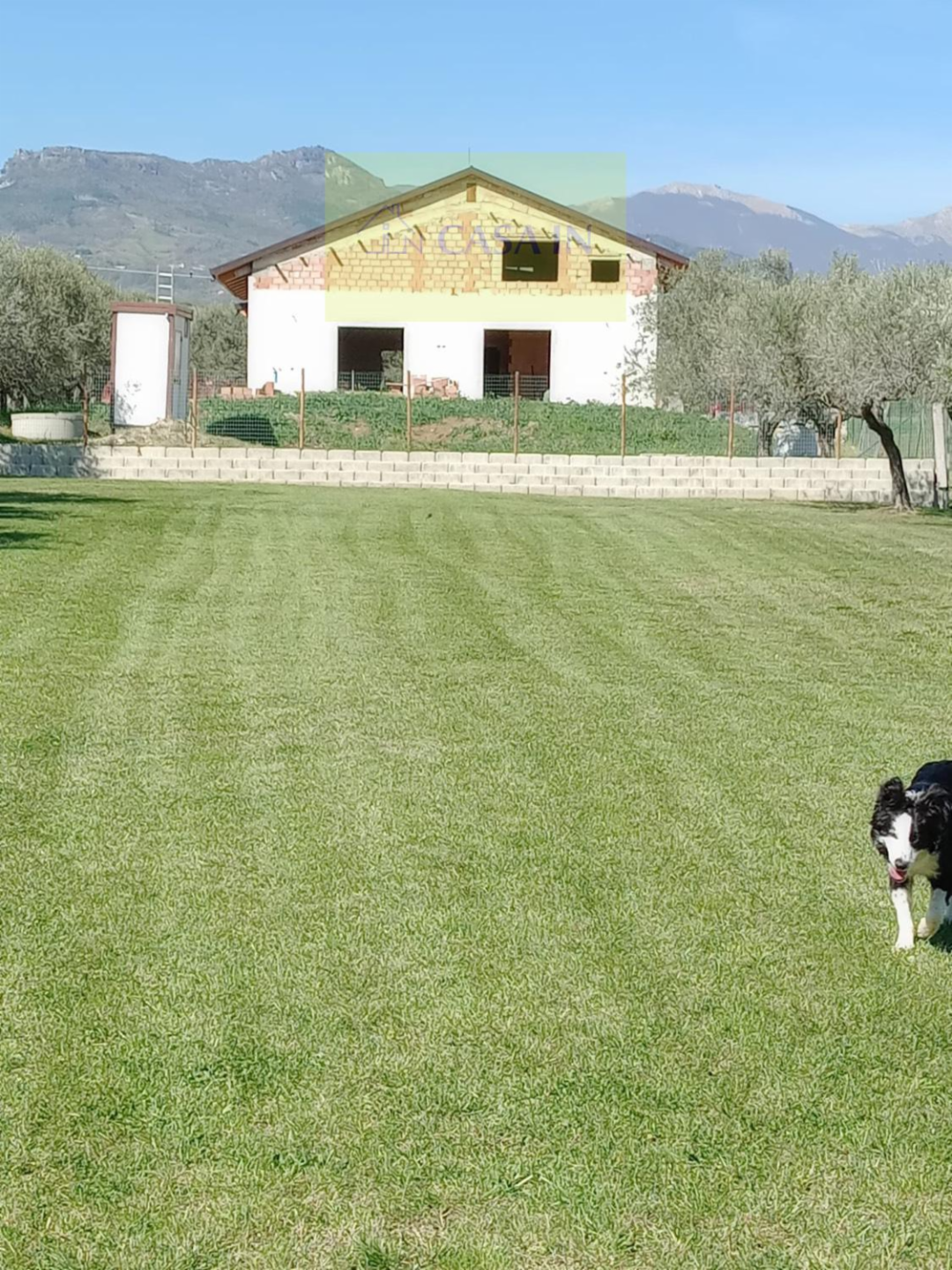 immagine annuncio 1 di 10