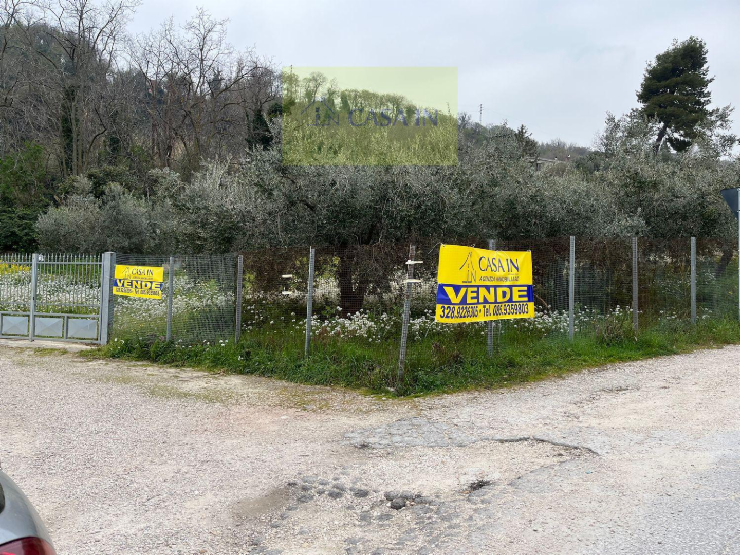 immagine annuncio 3 di 10