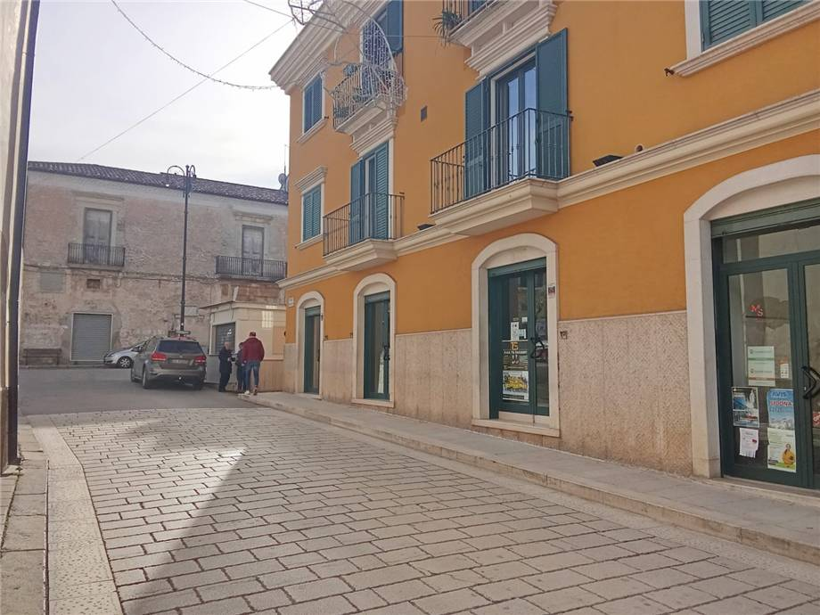 immagine annuncio 1 di 7