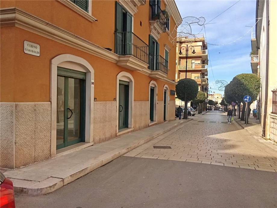 immagine annuncio 2 di 7