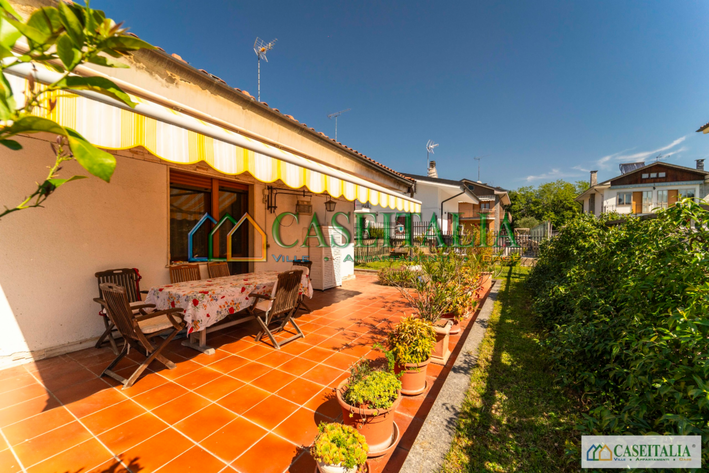 immagine annuncio 1 di 10