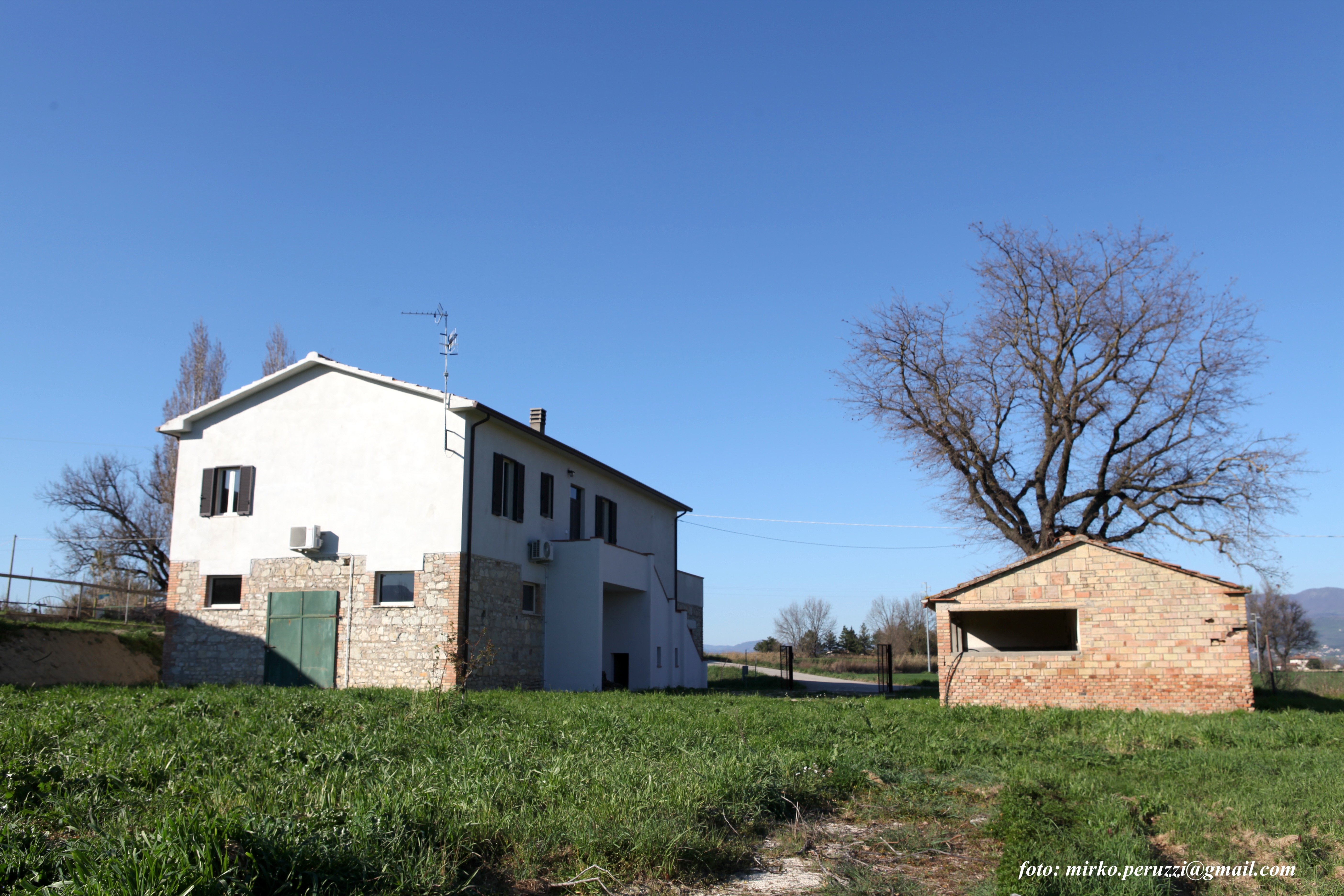 immagine annuncio 1 di 7