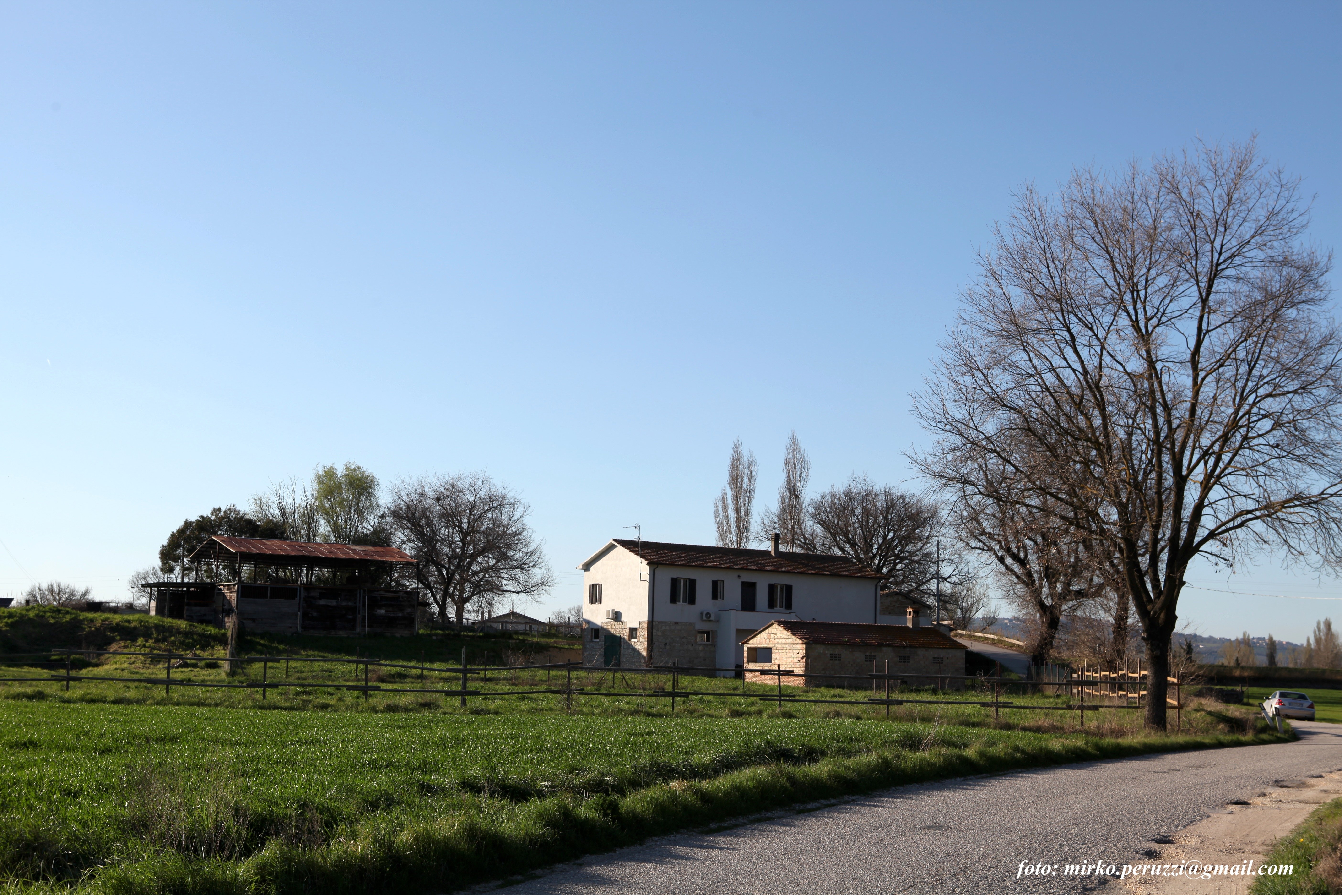 immagine annuncio 2 di 7