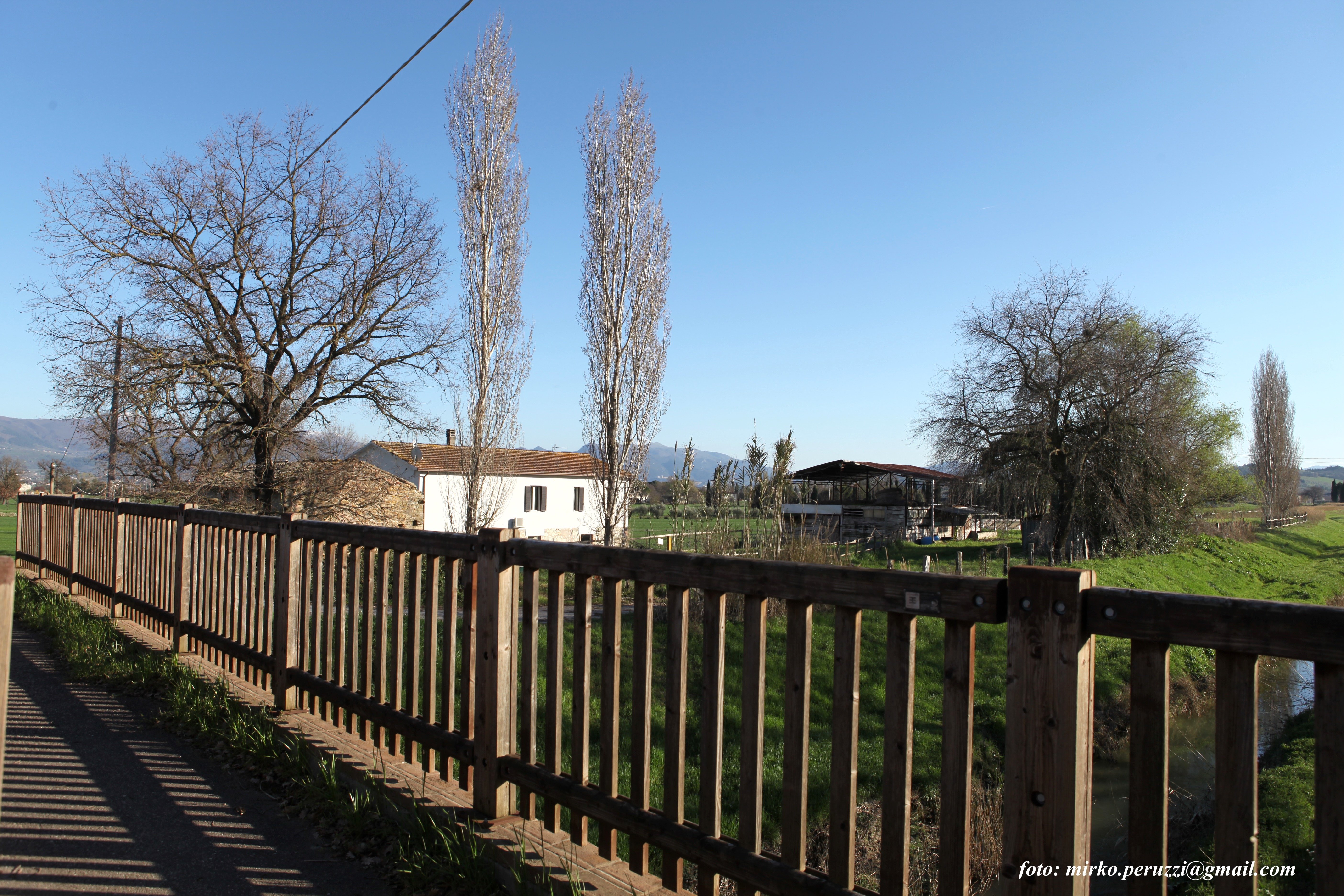 immagine annuncio 6 di 7